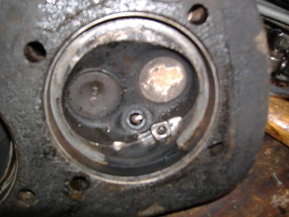 Nut Smashed into Head.JPG